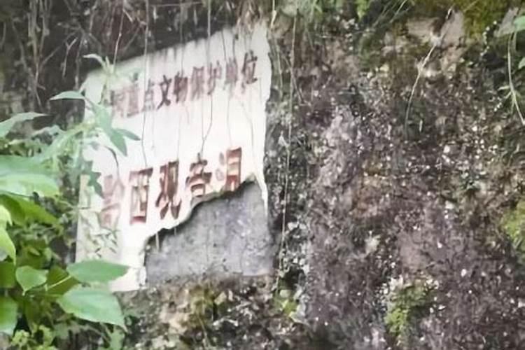 梦见买来的新伞是破的的预兆
