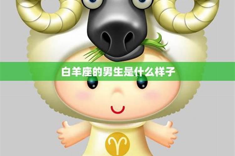 白羊座男生性格特点以及弱点 白羊座男生性格特点及爱情
