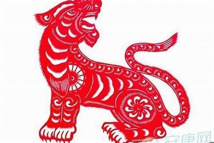 98年属虎男不宜婚配属相