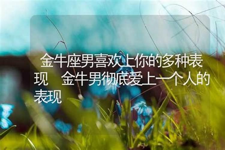 金牛男爱上你十种表现金牛男彻底爱上一个人的表现