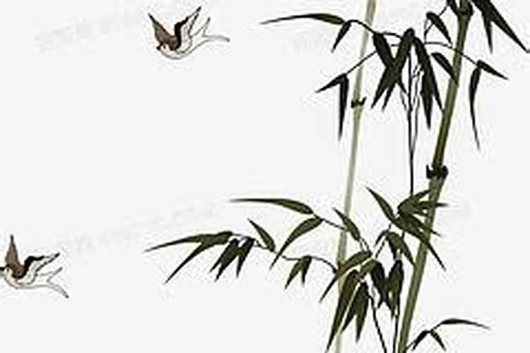 梦见狗扑咬自己但是没咬到