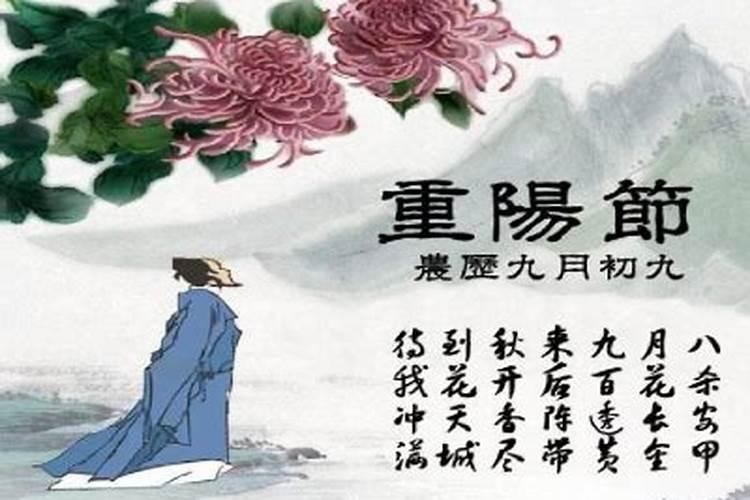 墓园祭拜的时间