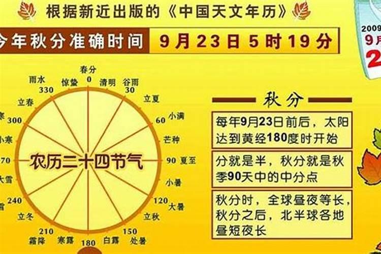 属牛人今年财运如何