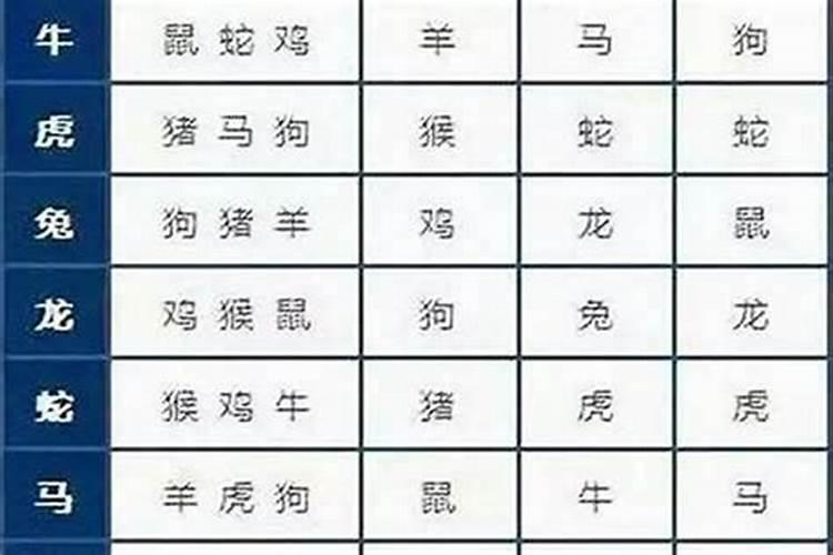 卯时猪和丑时狗八字合不合 八字相克？