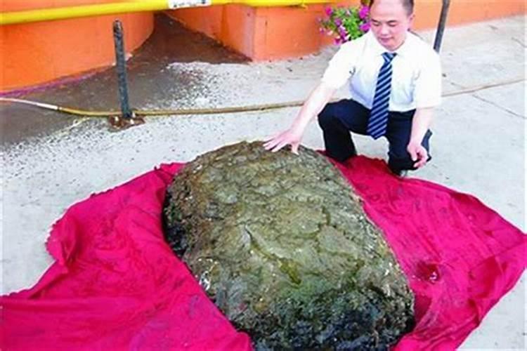 梦见鱼刺卡喉咙