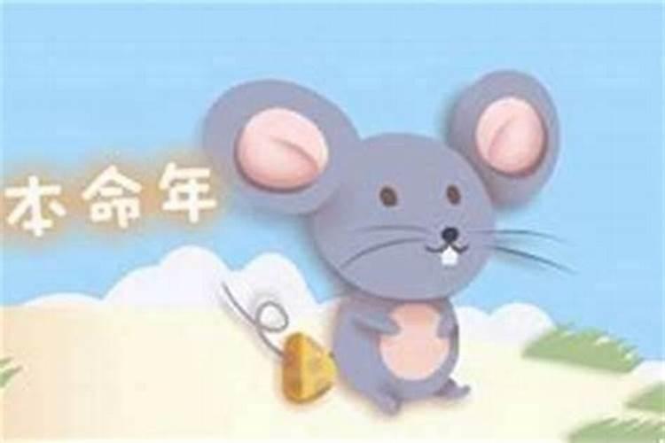 本命年为什么不能结婚96属鼠本命年能结婚吗