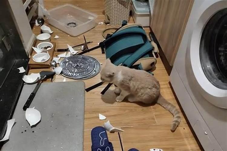 家里连着打碎两个碗了,这是怎么回事呢？