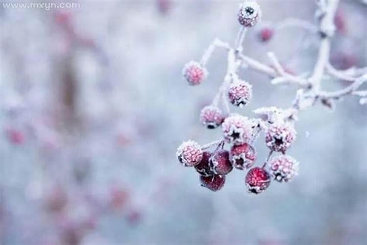 梦见下雪是什么意思 周公解梦破解