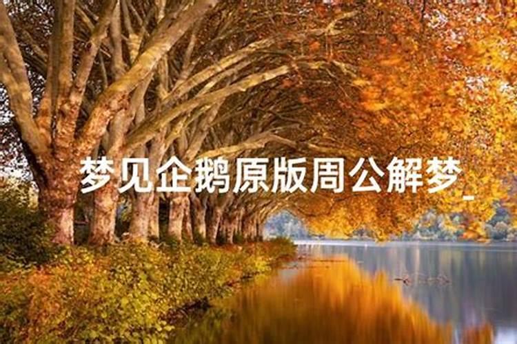 农历1981年9月12日出生是什么星座