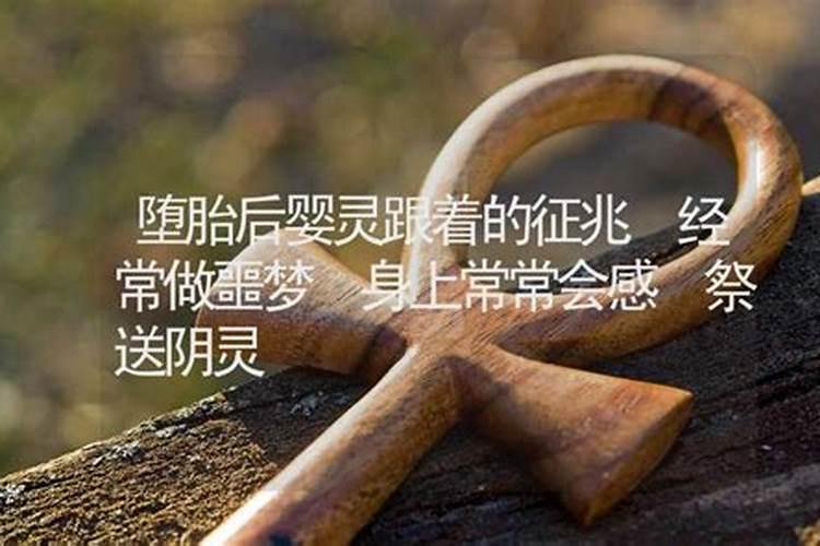 冬至多少天一共有多少天