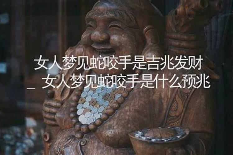 梦见好多蛇还被咬了一口预示着什么