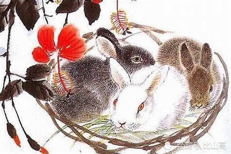87年的兔女一生有几次婚姻