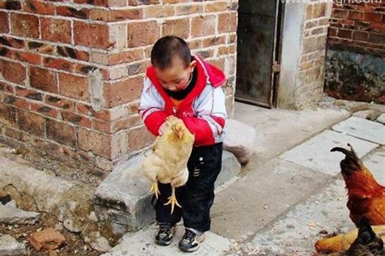 还阴阳债计算公式大全