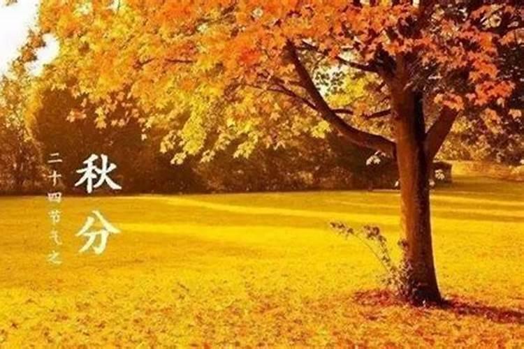 秋分节气的六大习俗活动