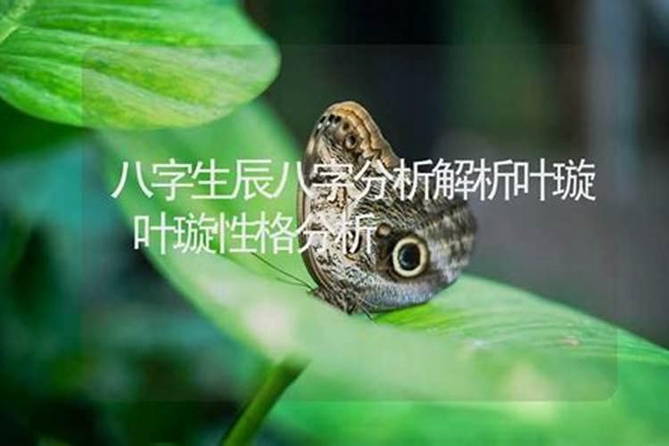 阳台养鱼风水上好吗？