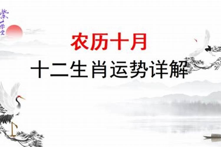 农历十月初一生人运好吗？