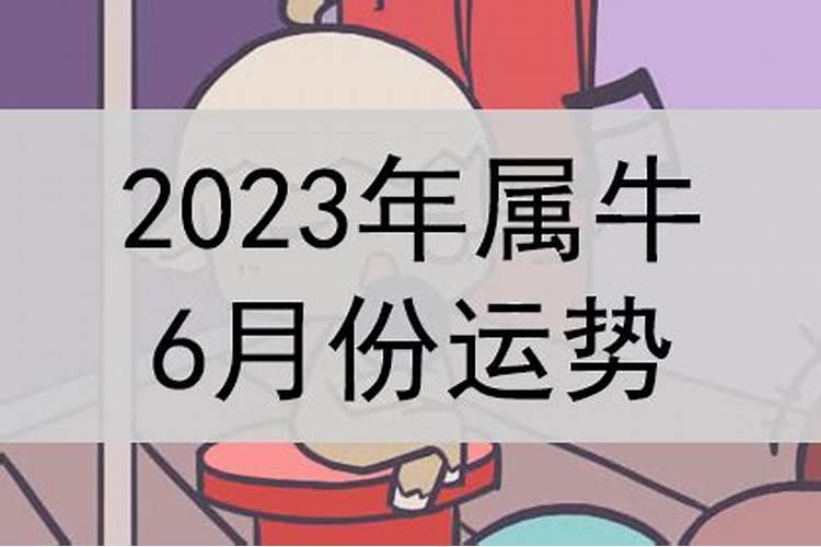 73年属牛人2024年运势运程如何