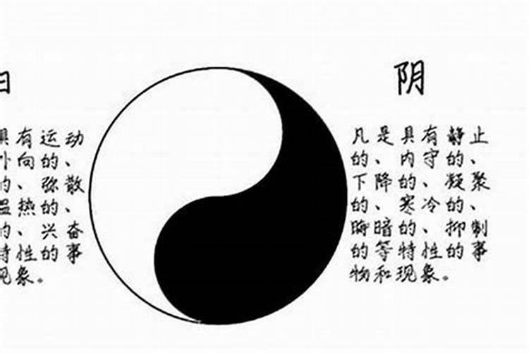 2025年属龙人一生命运