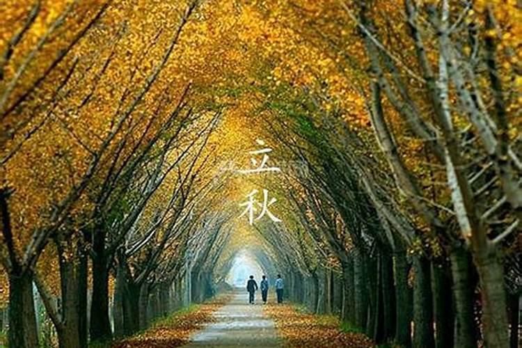 2025年冲太岁怎么化解