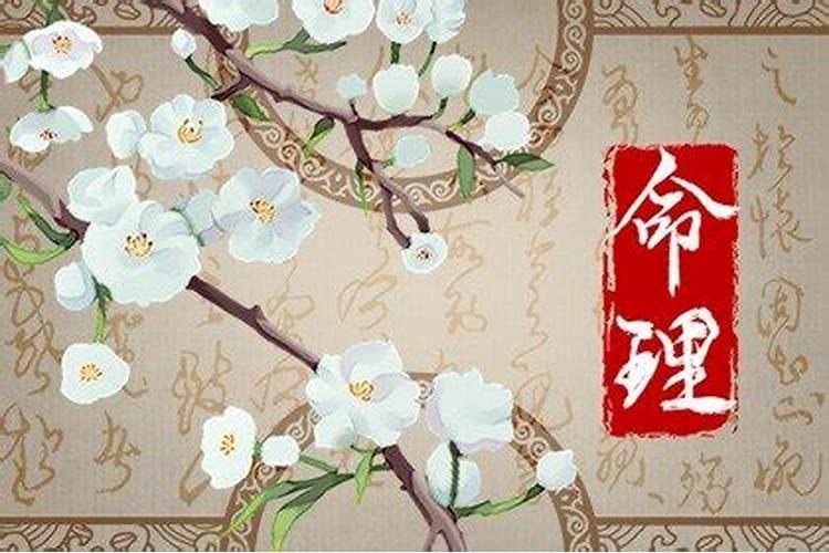 说一个女生大贵的命是什么意思？