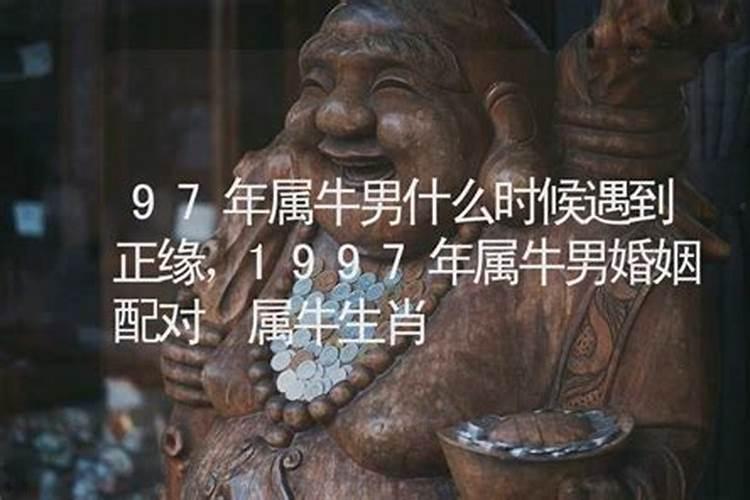 97属牛男2025年的运势和婚姻状况