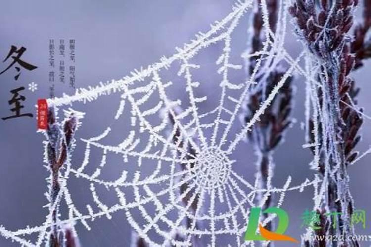 冬至的来历