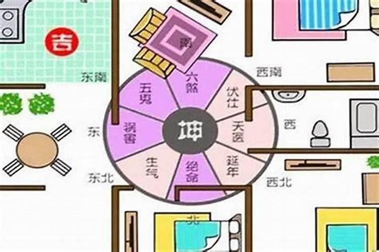 女人梦见买新鲜玉米是什么预兆