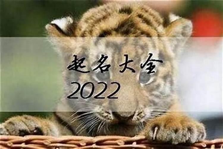 柳州元宵节有什么活动