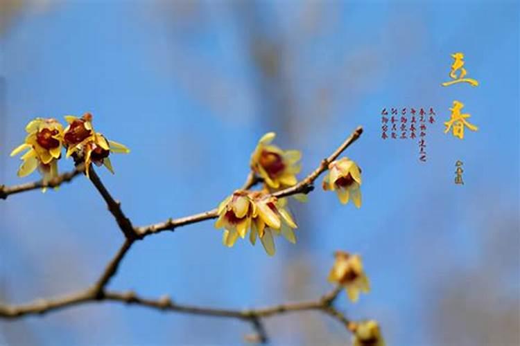 立春节气躲春的禁忌是什么