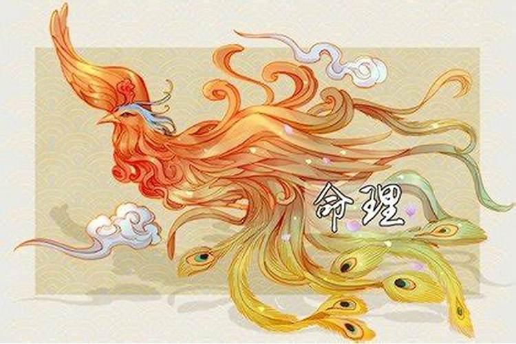 大运正官是什么意思,事业和财富都非常好