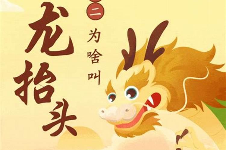 小鲤鱼是什么意思