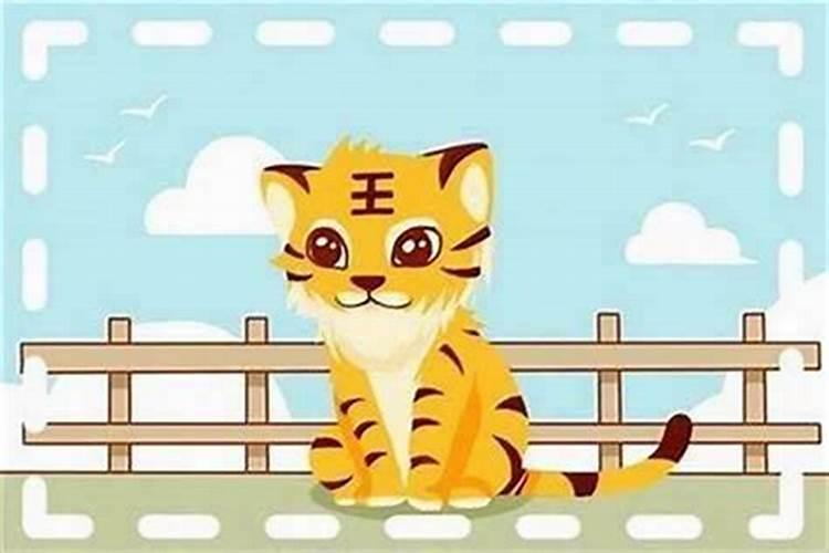 74属虎女人本命年可以买房吗好吗？