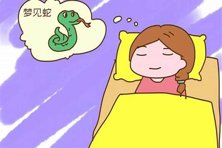 官宣!十二生肖的冬至转运指南