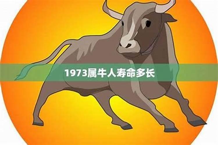 73年属牛48岁财运 总体运势？