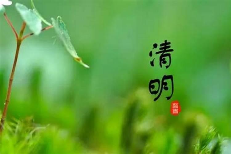2025属牛今年有一难是什么 属牛2025年运势如何