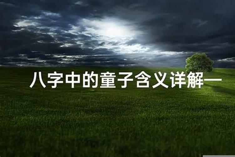 属鼠男人和属狗女人相配吗