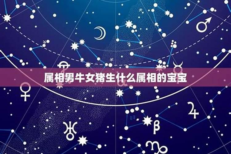 属牛与什么属相最配对,属牛配对属相婚配表