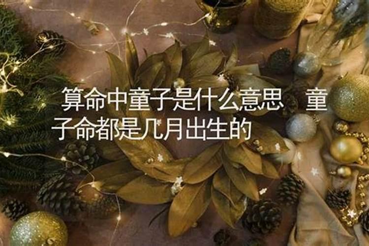 怎么查命里有没有童子