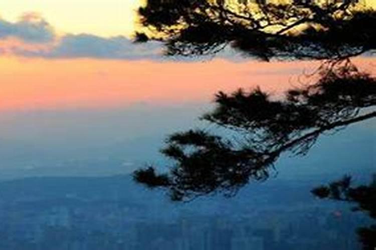 92年猴男2025年运势及运程