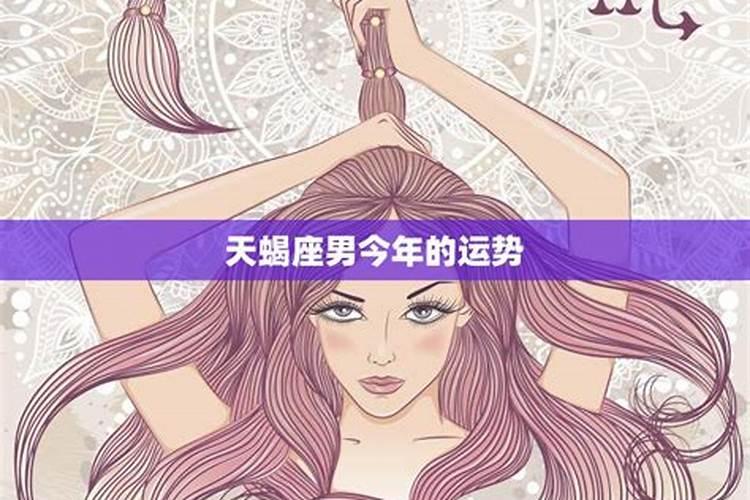 75年的兔在2025年的运势和财运