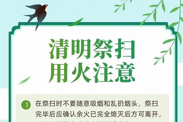 清明节应该注意什么