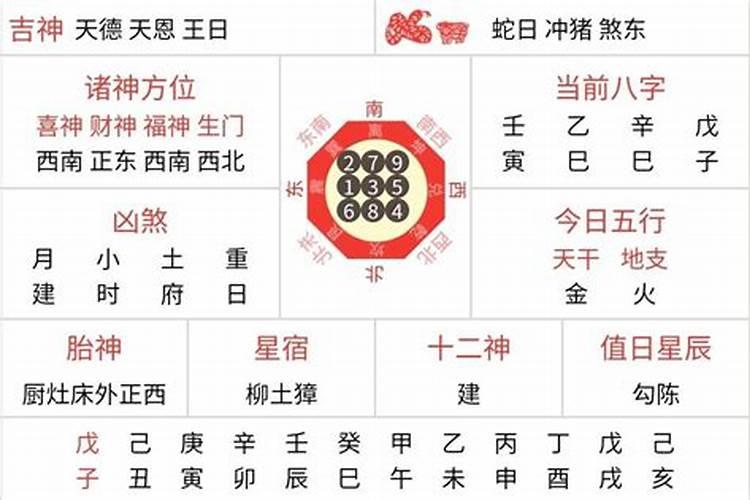 2025年十二生肖每月运势详解
