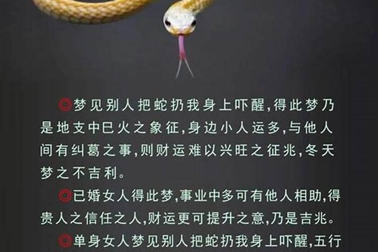 梦见蛇攻击自己吓醒了预示着什么意思