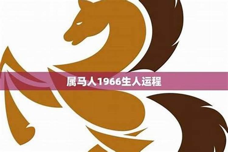2025年5月17号生人婚姻和什么动物好