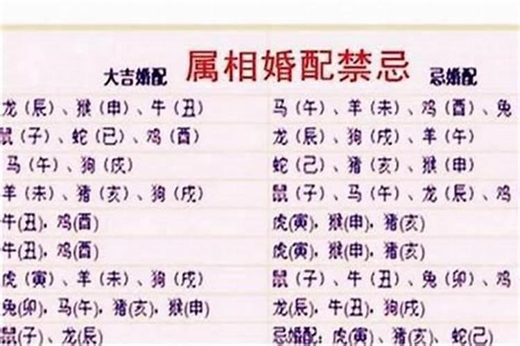 1985年生人什么时候才有婚配,1985年出生与1986年出生合婚？