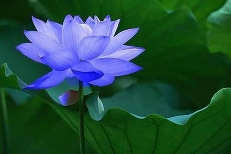 打算去东台观音禅寺为堕胎婴灵超度,大概是什么样的流程？