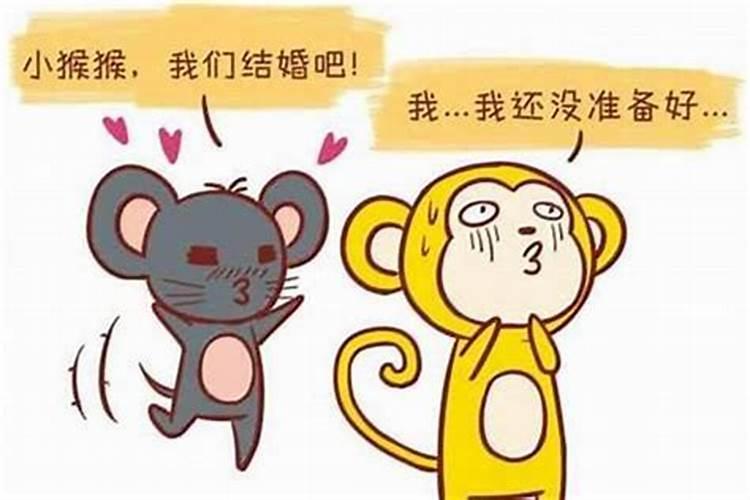 猴遇鼠为什么有福气男92猴女96鼠八字合吗