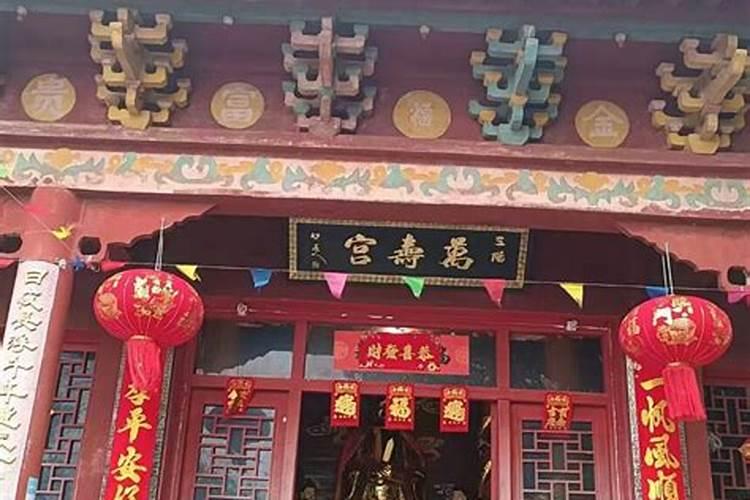 95属猪哪一年会动婚