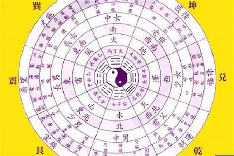 梦见被老虎追爬上树的预兆