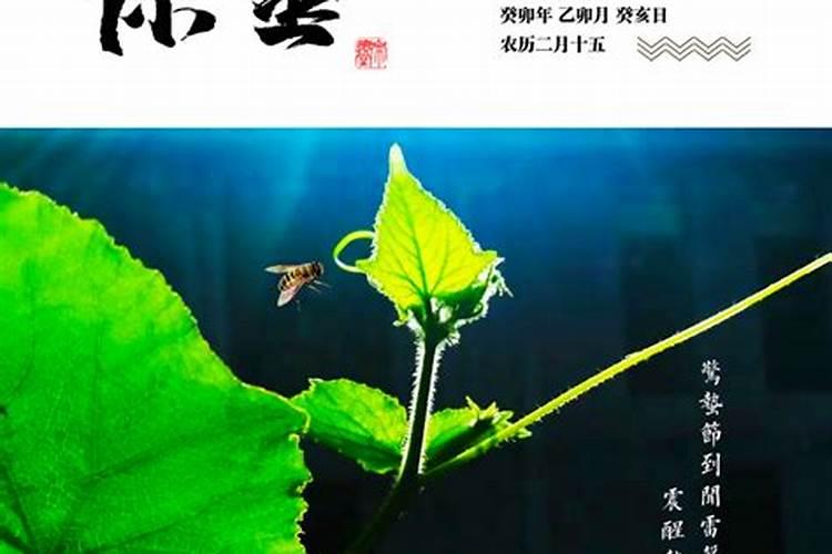 二十四节气的来历？
